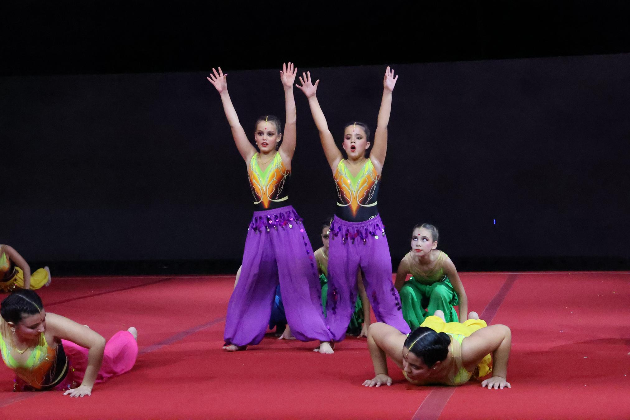 FESTIVAL DE GIMNASIA TIGOTÁN (142) FESTIVAL DE GIMNASIA TIGOTÁN (142)