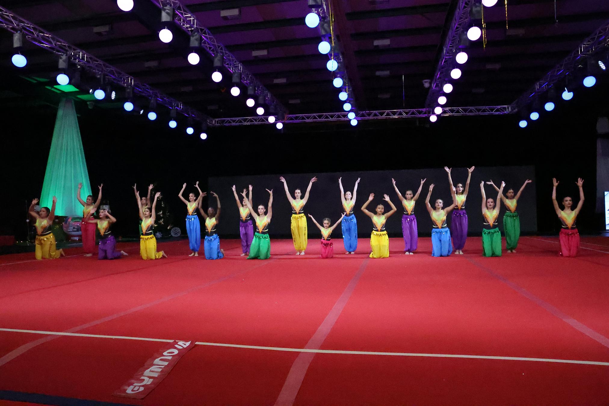 FESTIVAL DE GIMNASIA TIGOTÁN (147) FESTIVAL DE GIMNASIA TIGOTÁN (147)