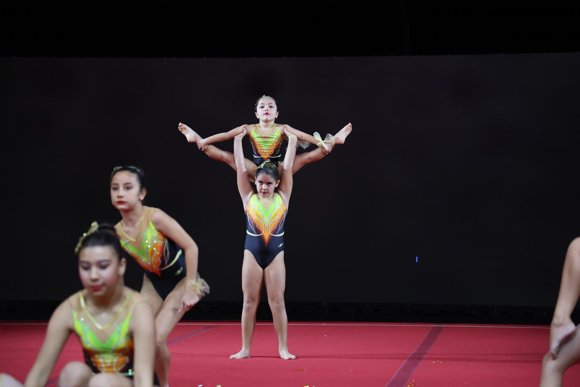 FESTIVAL DE GIMNASIA TIGOTÁN (101) FESTIVAL DE GIMNASIA TIGOTÁN (101)