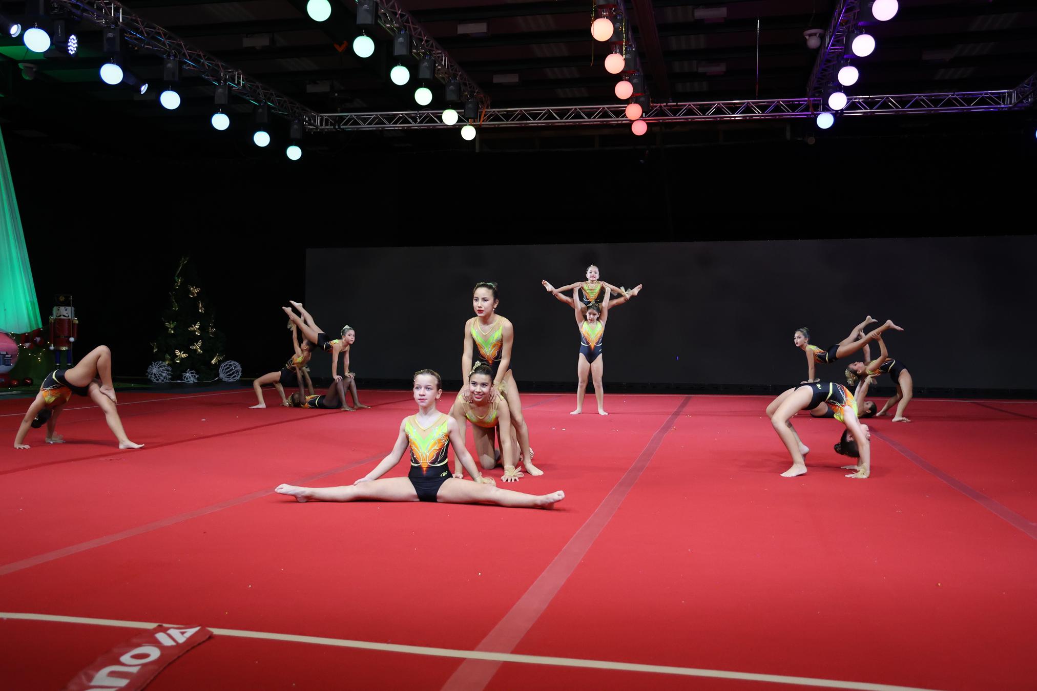 FESTIVAL DE GIMNASIA TIGOTÁN (102) FESTIVAL DE GIMNASIA TIGOTÁN (102)