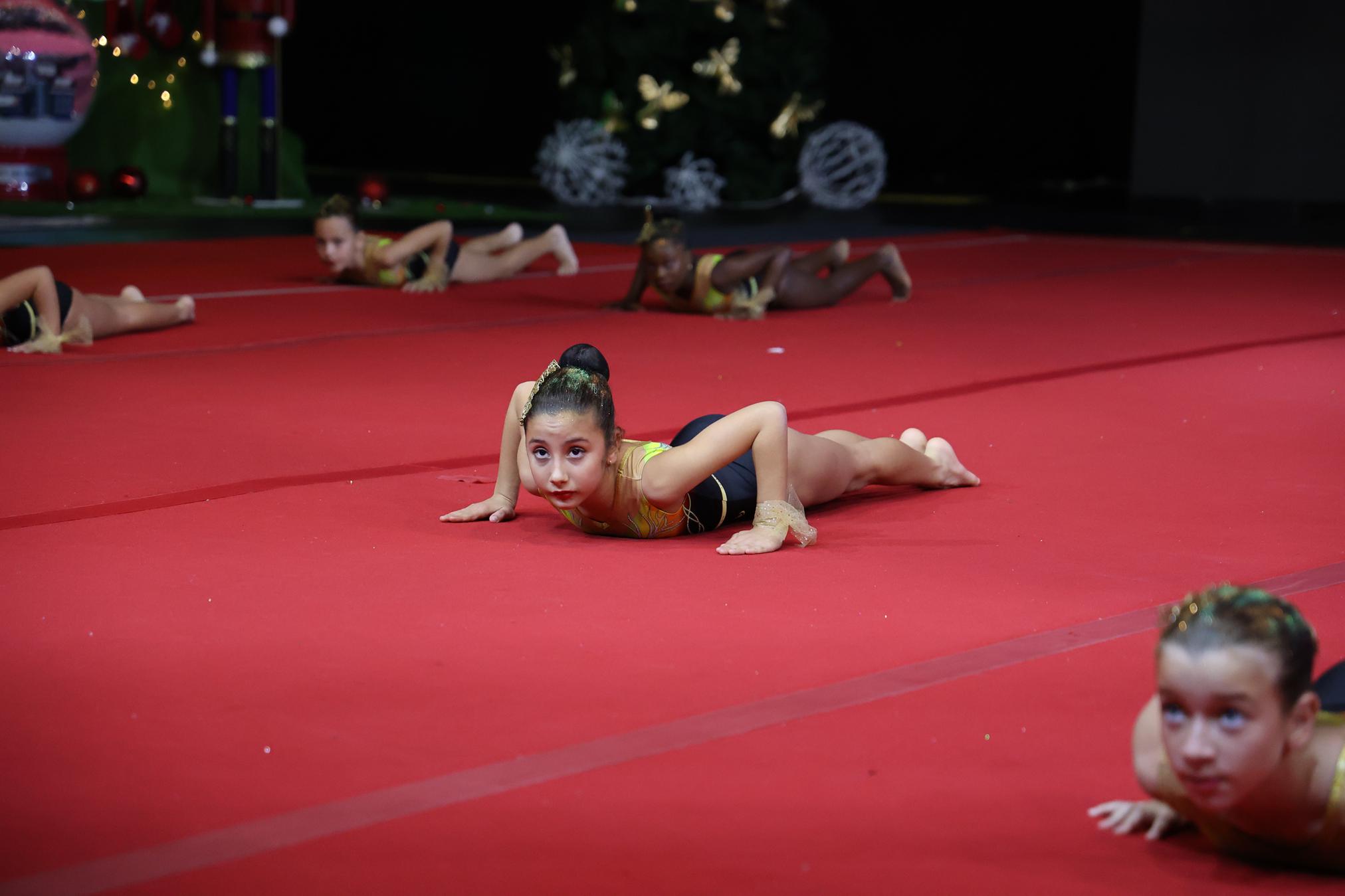 FESTIVAL DE GIMNASIA TIGOTÁN (105) FESTIVAL DE GIMNASIA TIGOTÁN (105)