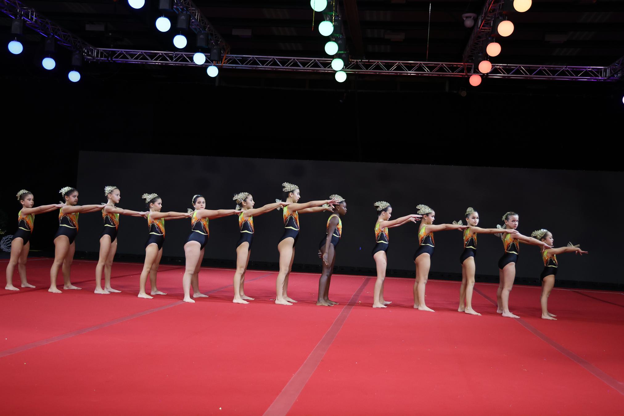 FESTIVAL DE GIMNASIA TIGOTÁN (107) FESTIVAL DE GIMNASIA TIGOTÁN (107)