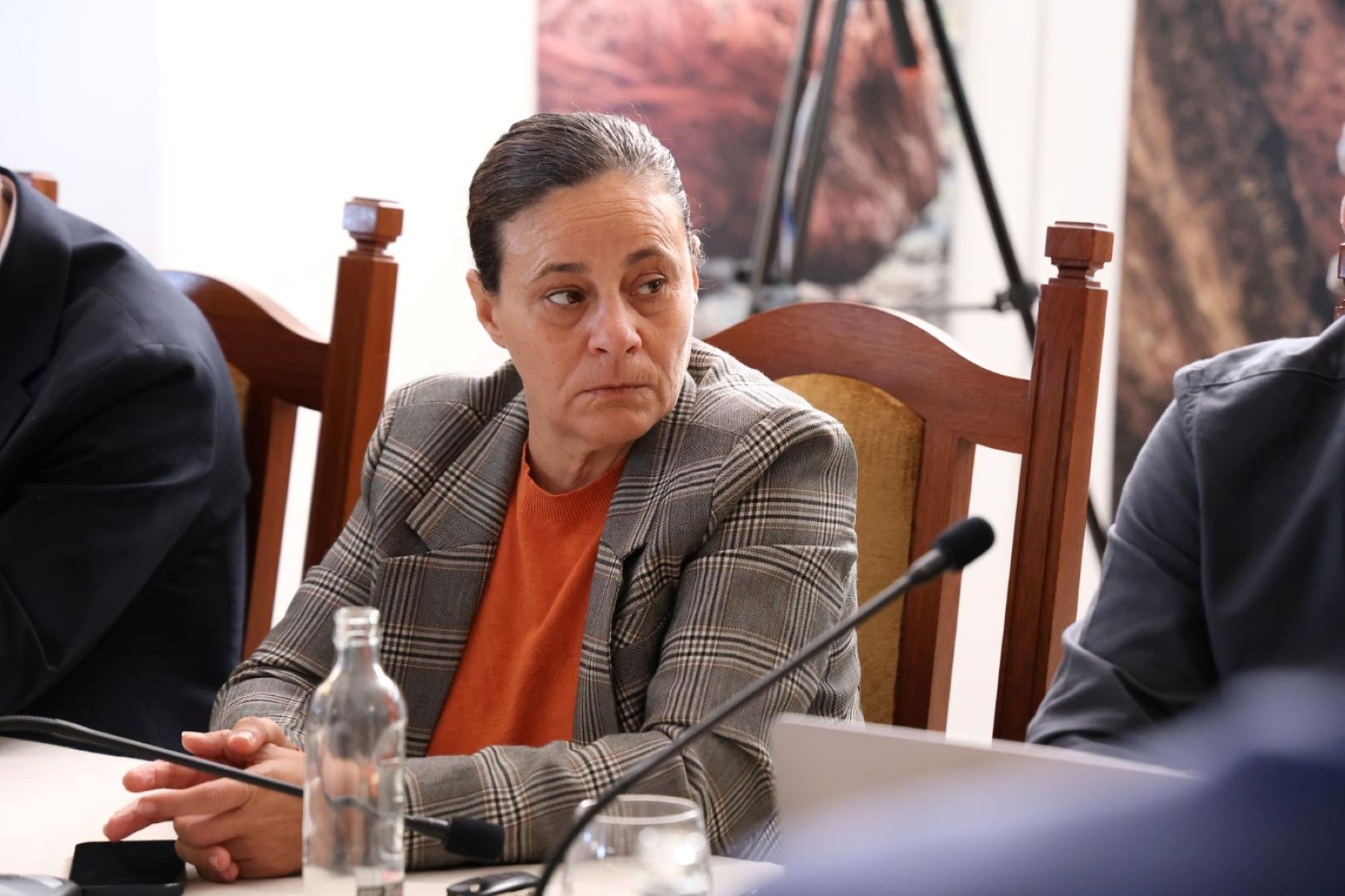 Celeste Callero, consejera del PSOE Celeste Callero, consejera del PSOE