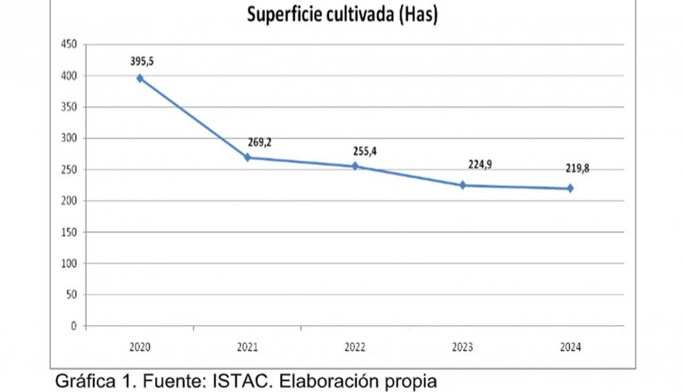 Screenshot 2025 12 17 102131dd Screenshot 2025 12 17 102131dd