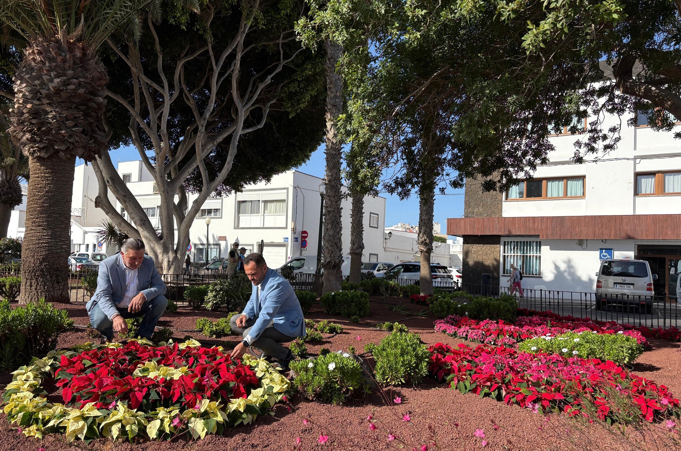 El alcalde de Arrecife Yonathan de León y el concejal de Parques y Jardines, Roberto Herbon, visitan los parques de la ciudad donde se están plantando flores de pascua ff