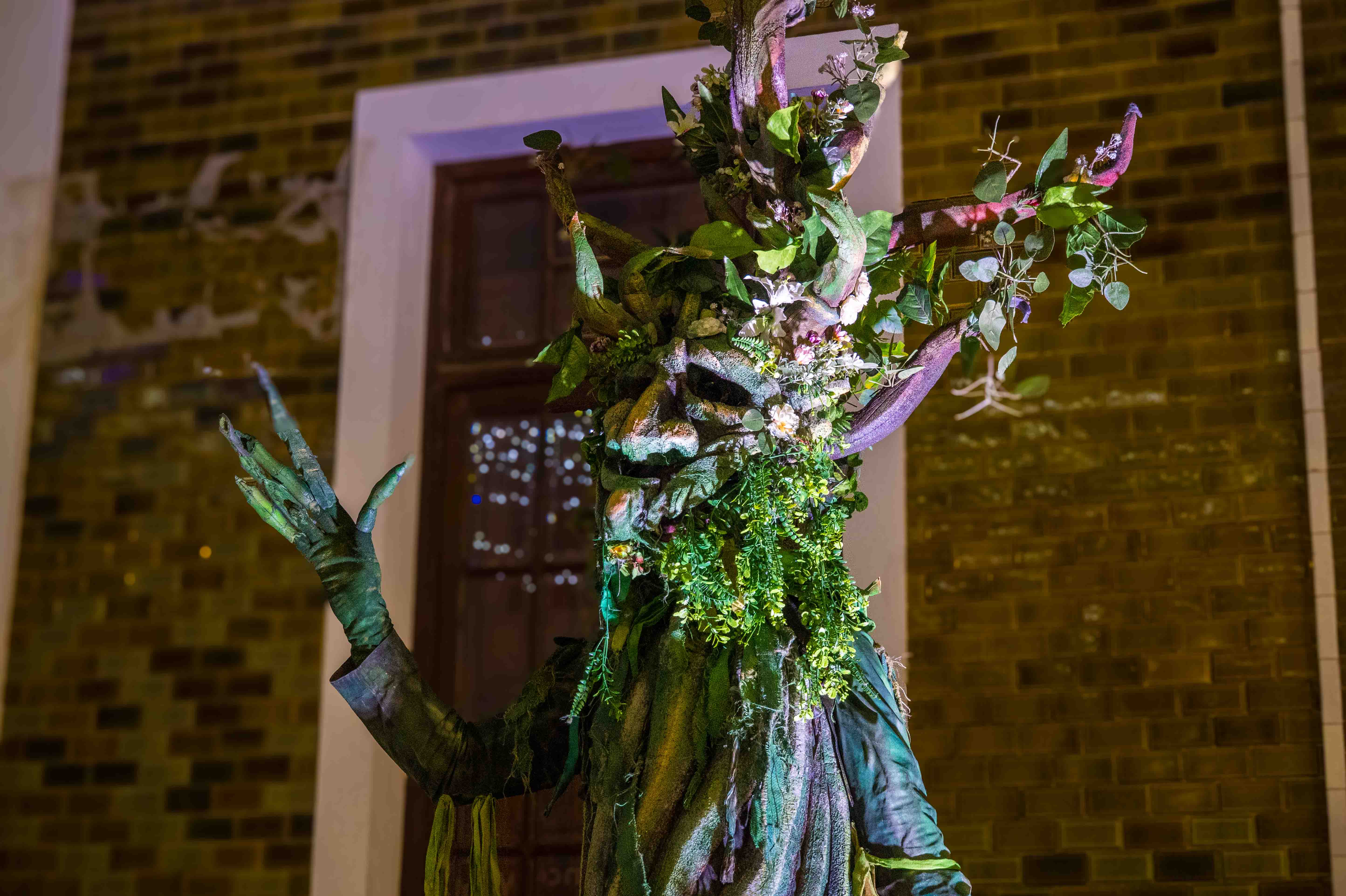 Festival del Silencio, 2025 Festival del Silencio, 2025