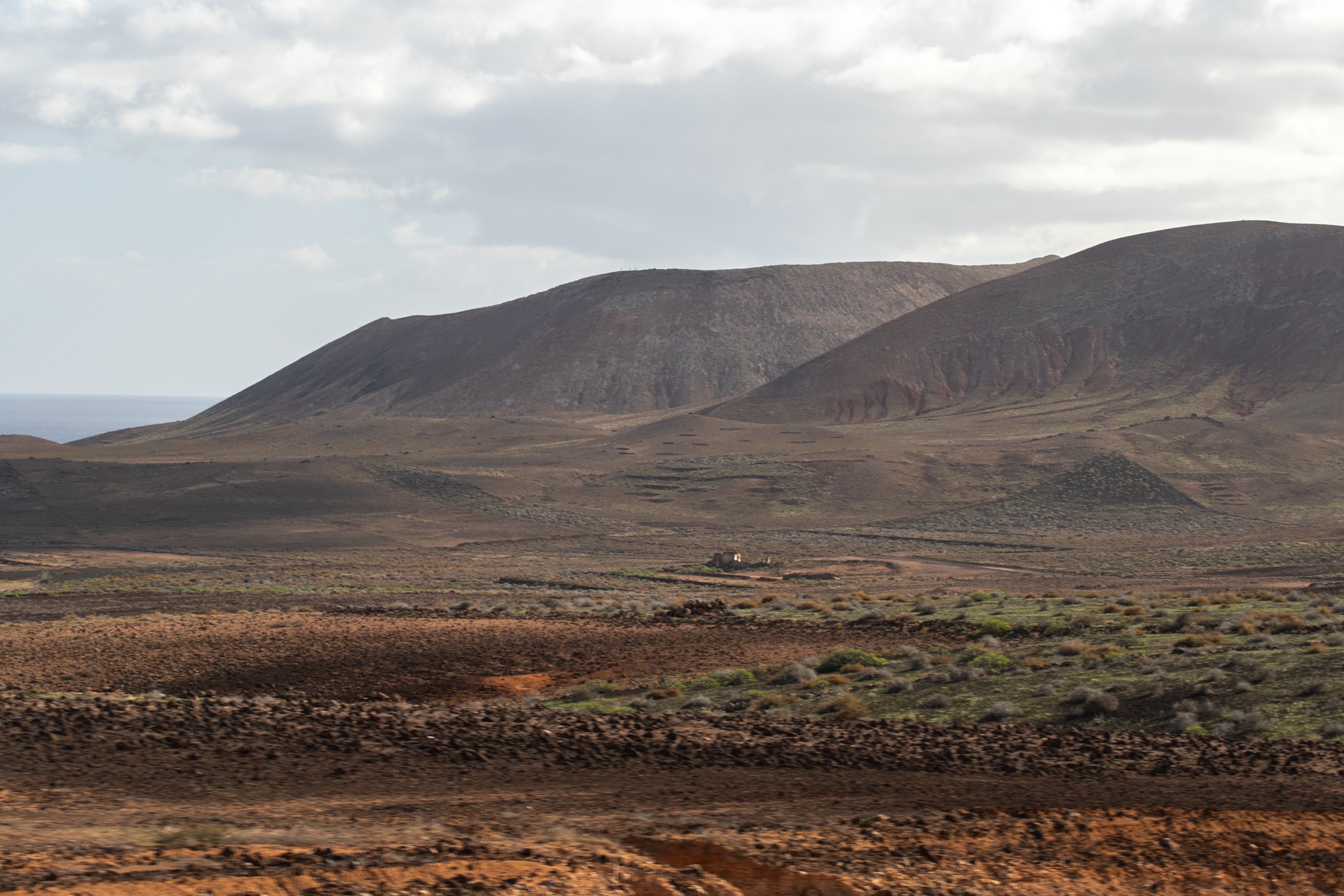 Lanzarote brota tras el paso de la lluvia. Foto: Andrea Domínguez. Lanzarote brota tras el paso de la lluvia. Foto: Andrea Domínguez.