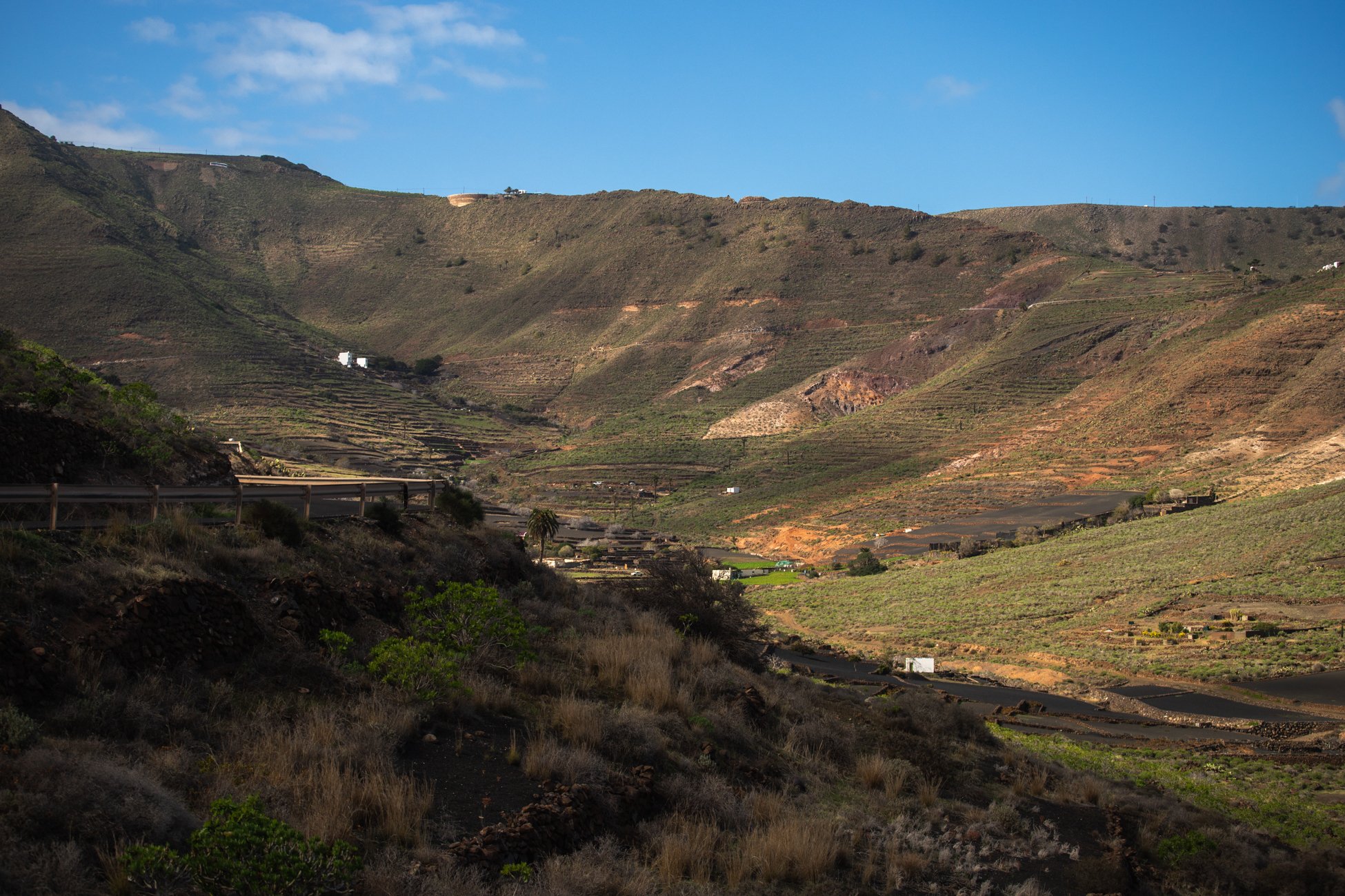 Lanzarote se pinta de verde tras el paso de las últimas lluvias. Foto: Andrea Domínguez.