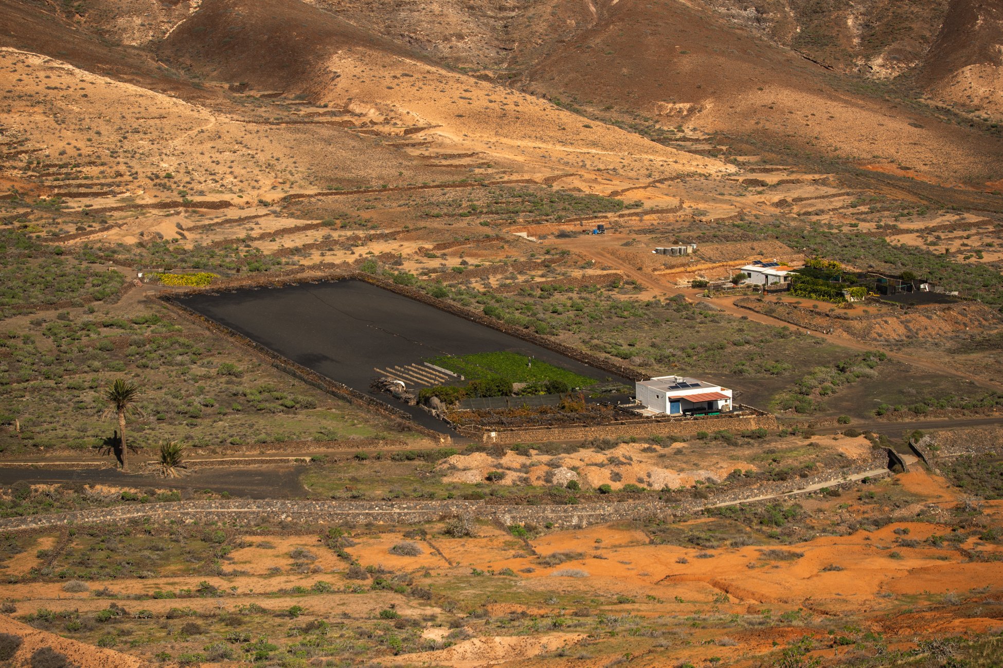 Lanzarote se pinta de verde tras el paso de las últimas lluvias. Foto: Andrea Domínguez.
