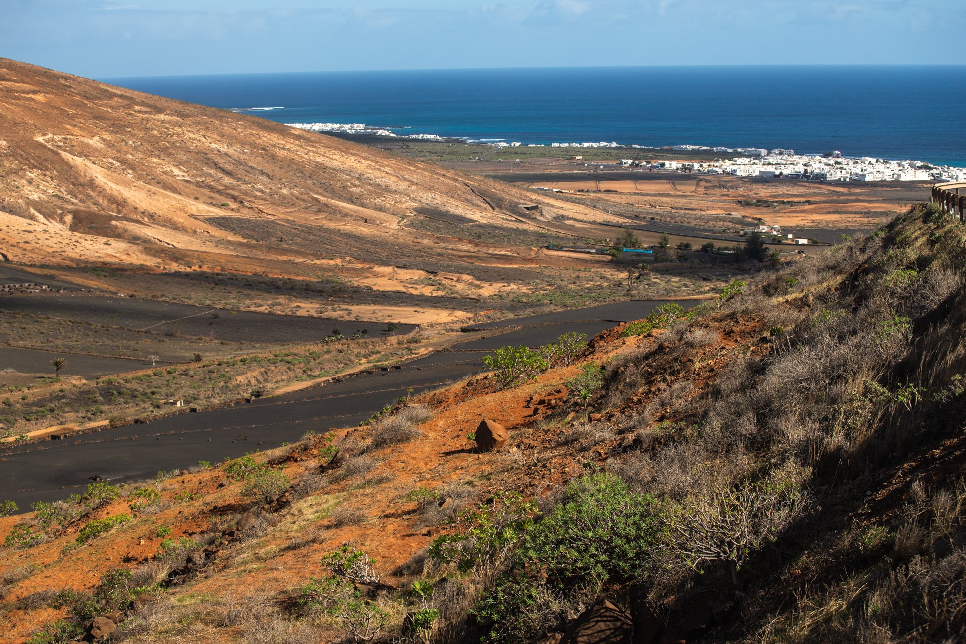 Lanzarote se pinta de verde tras el paso de las últimas lluvias. Foto: Andrea Domínguez.