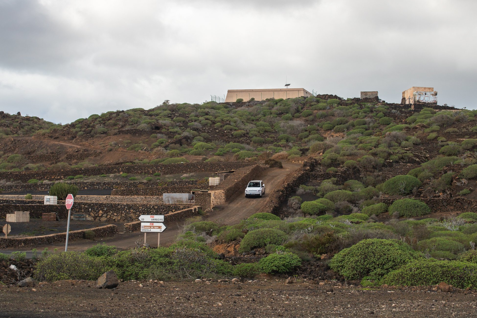 Lanzarote se pinta de verde tras el paso de las últimas lluvias. Foto: Andrea Domínguez.