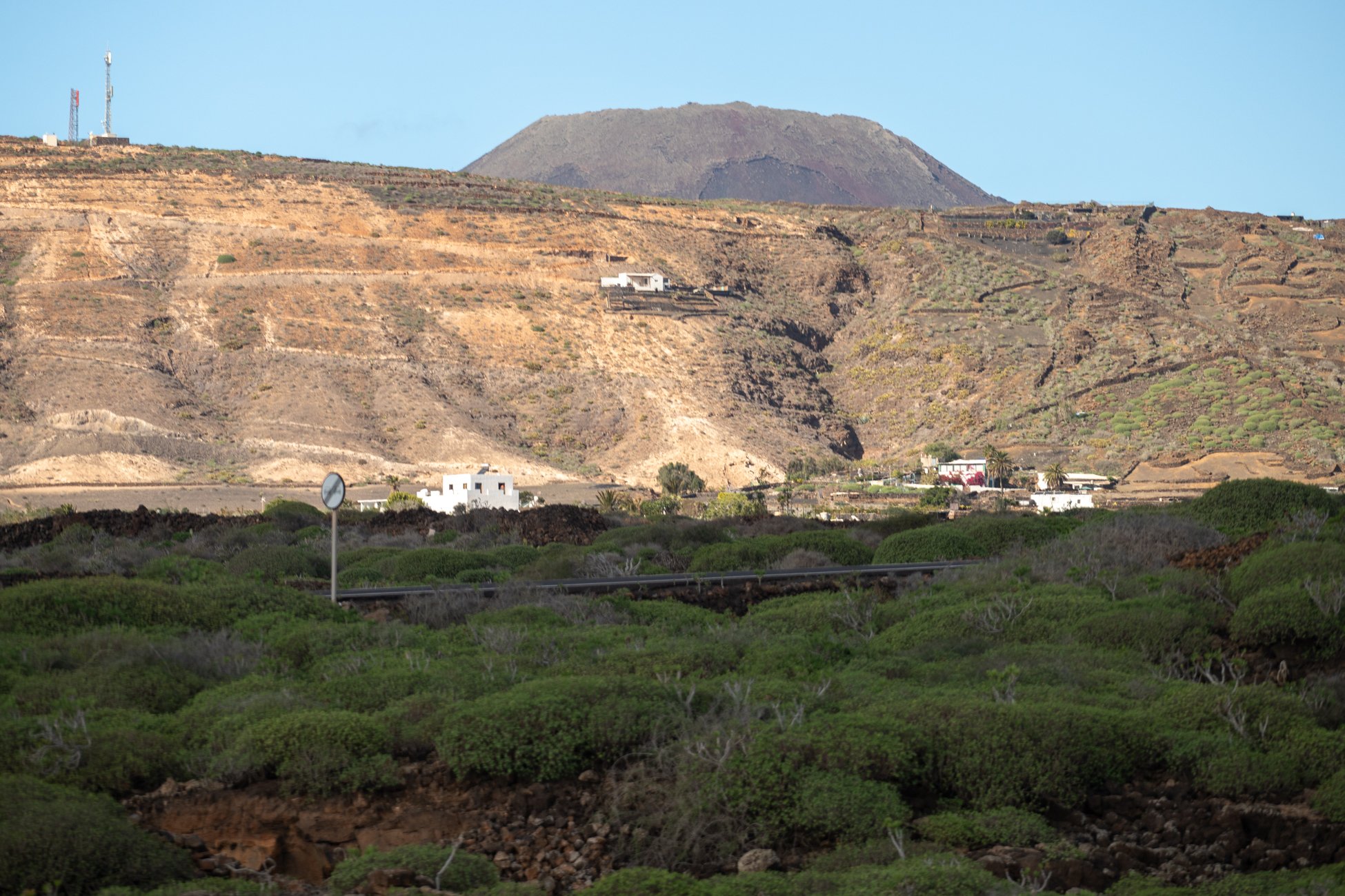Lanzarote se pinta de verde tras el paso de las últimas lluvias. Foto: Andrea Domínguez.