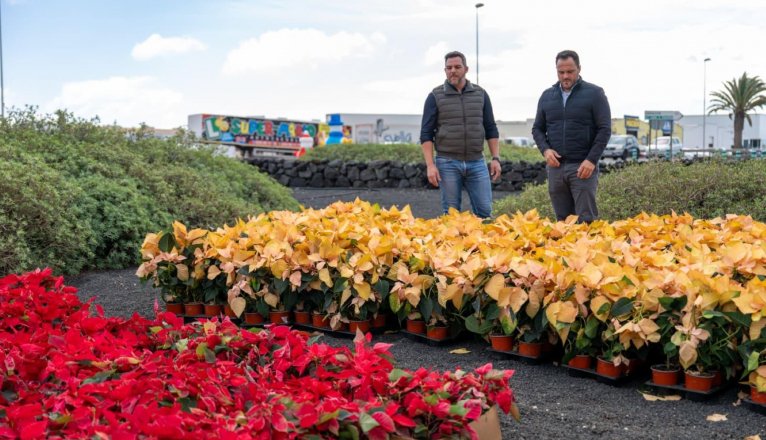 WhatsApp Image 2025 12 23 at 19.05.02