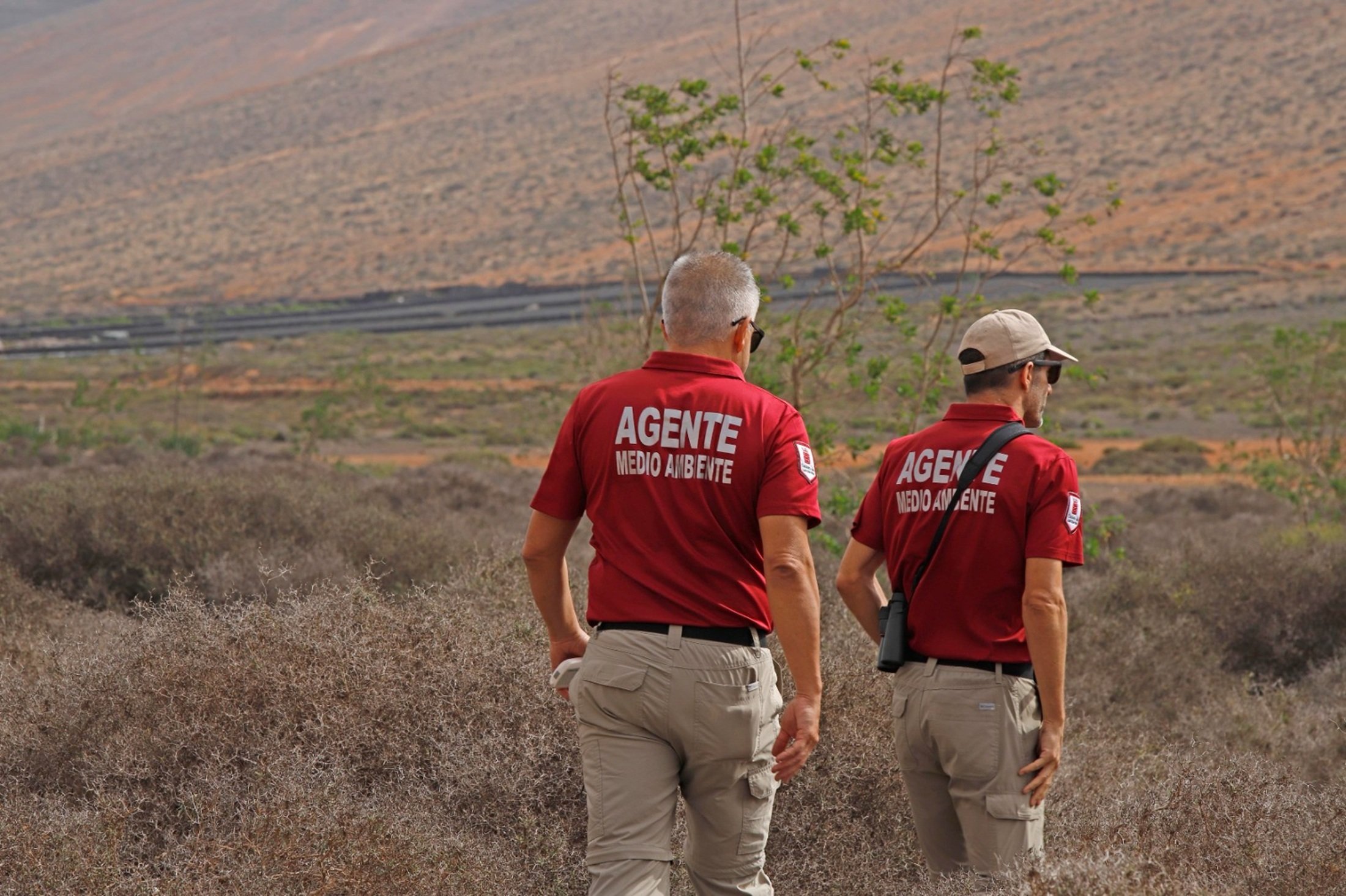 Agentes Medio Ambiente Agentes Medio Ambiente