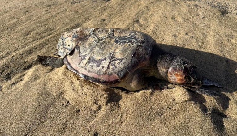 WhatsApp Image 2026 01 03 at 10.21.39 (1)