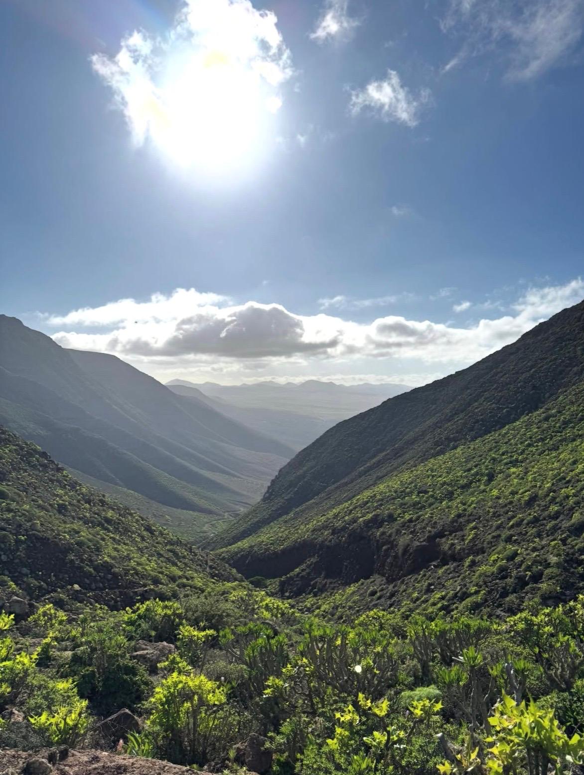Imágenes del concurso de fotografía de La Voz. Foto: @esperanzatabordabedoya