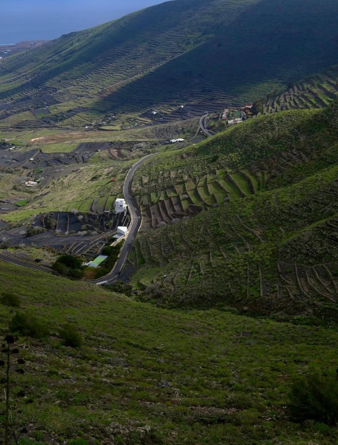 Imágenes del concurso de fotografía de La Voz. Foto: @tapanistaskounepocka