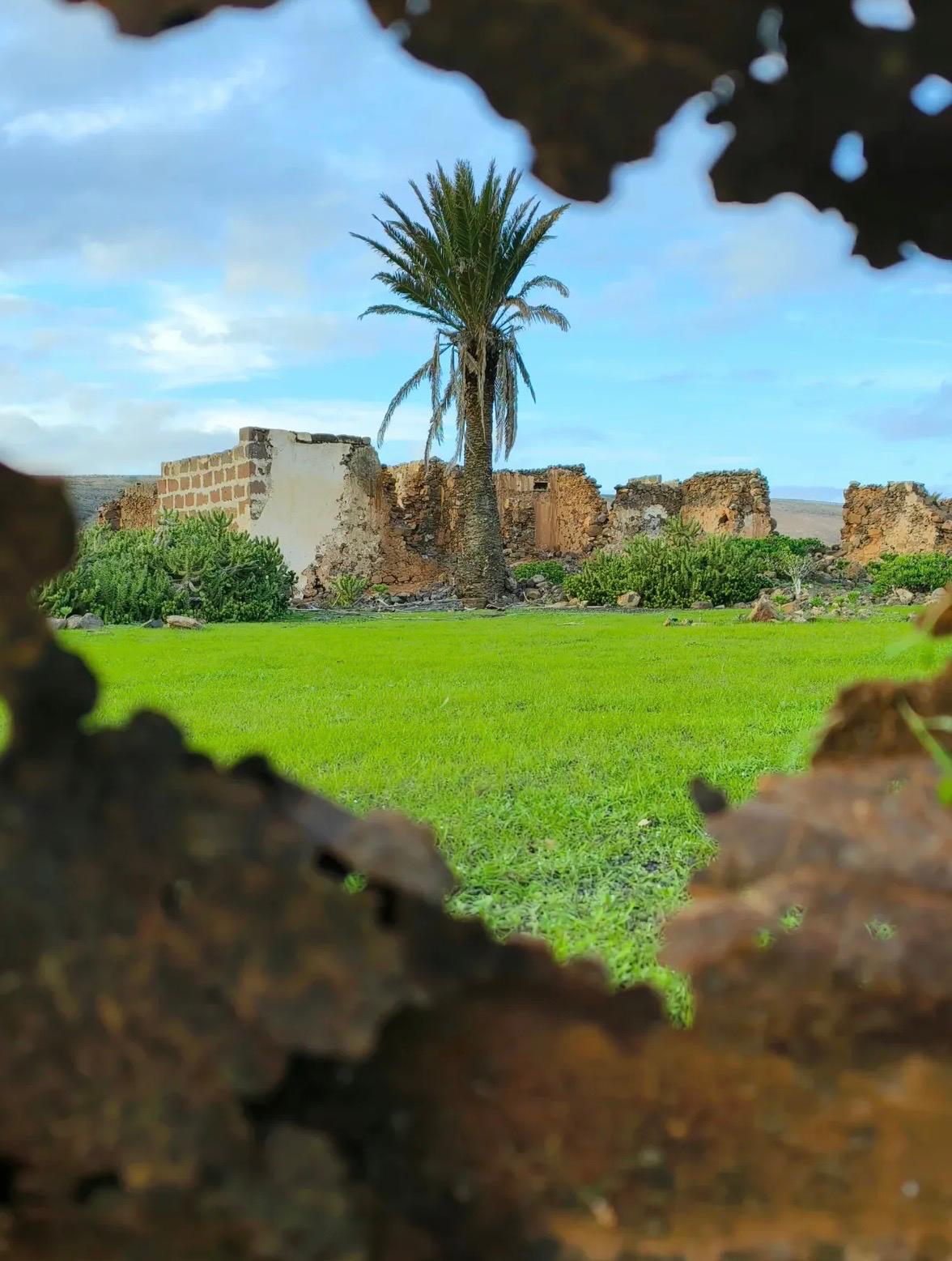 Imágenes del concurso de fotografía de La Voz. Foto: @marcoskitelanz