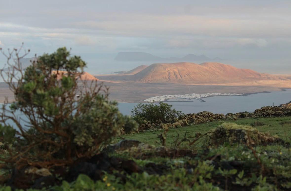 Imágenes del concurso de fotografía de La Voz. Foto: @ariherfue