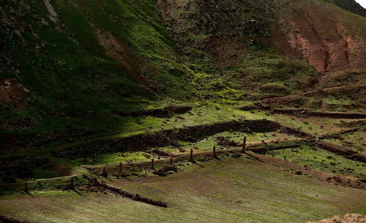 Imágenes del concurso de fotografía de La Voz. Foto: @iduriko