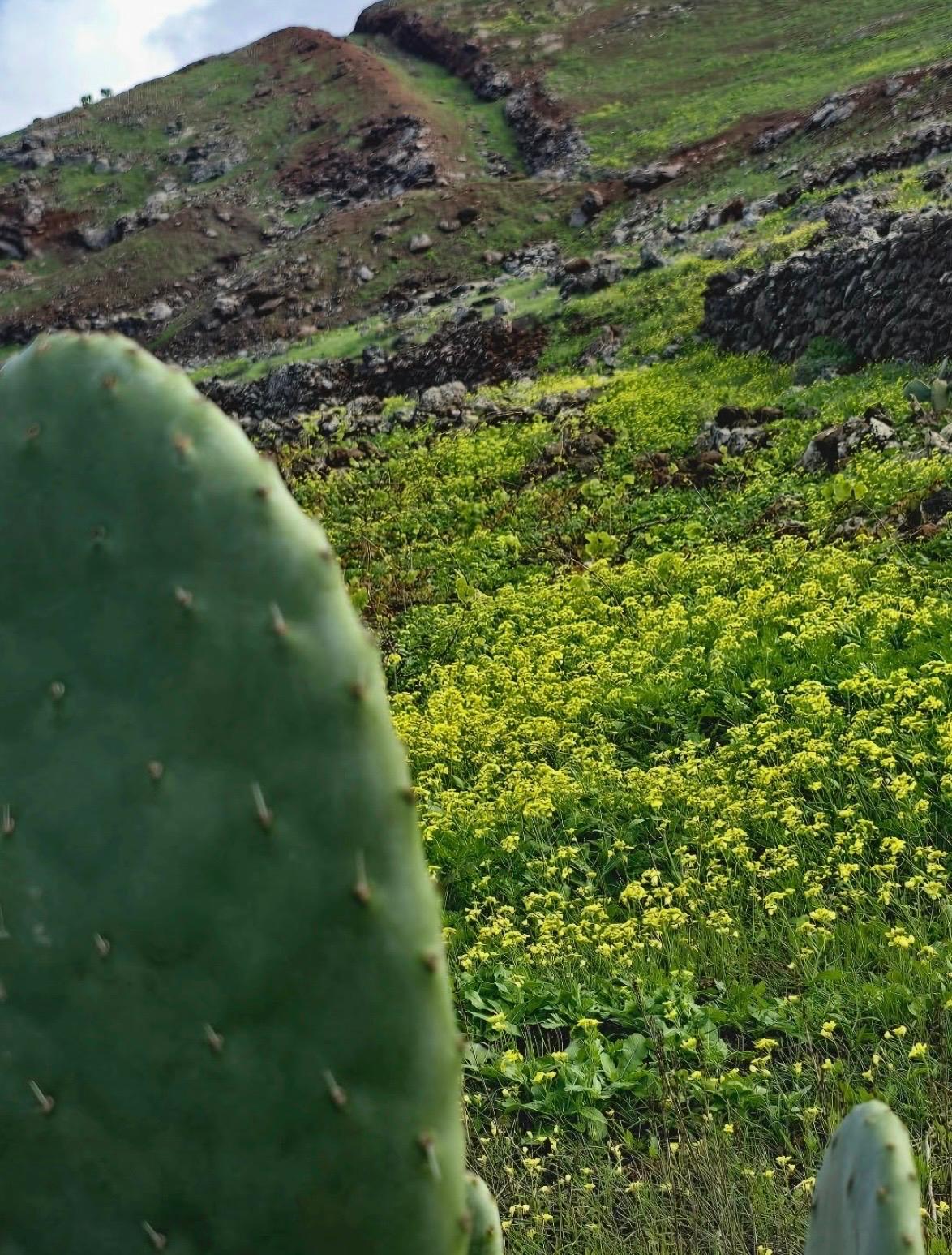 Imágenes del concurso de fotografía de La Voz. Foto: @progressivemassage