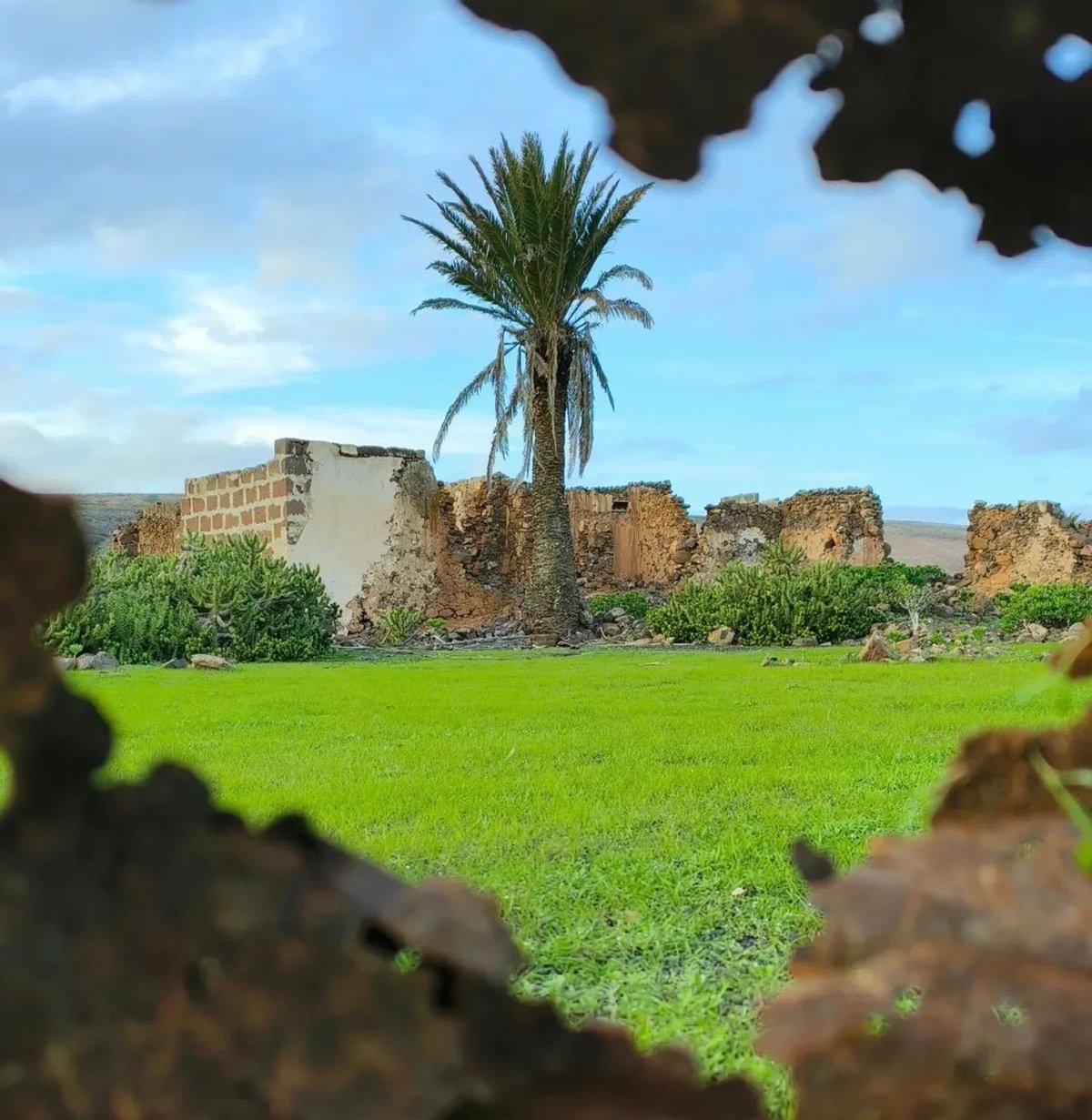 whatsapp image 2026 01 07 at 9 50 18 am 5ff whatsapp image 2026 01 07 at 9 50 18 am 5ff