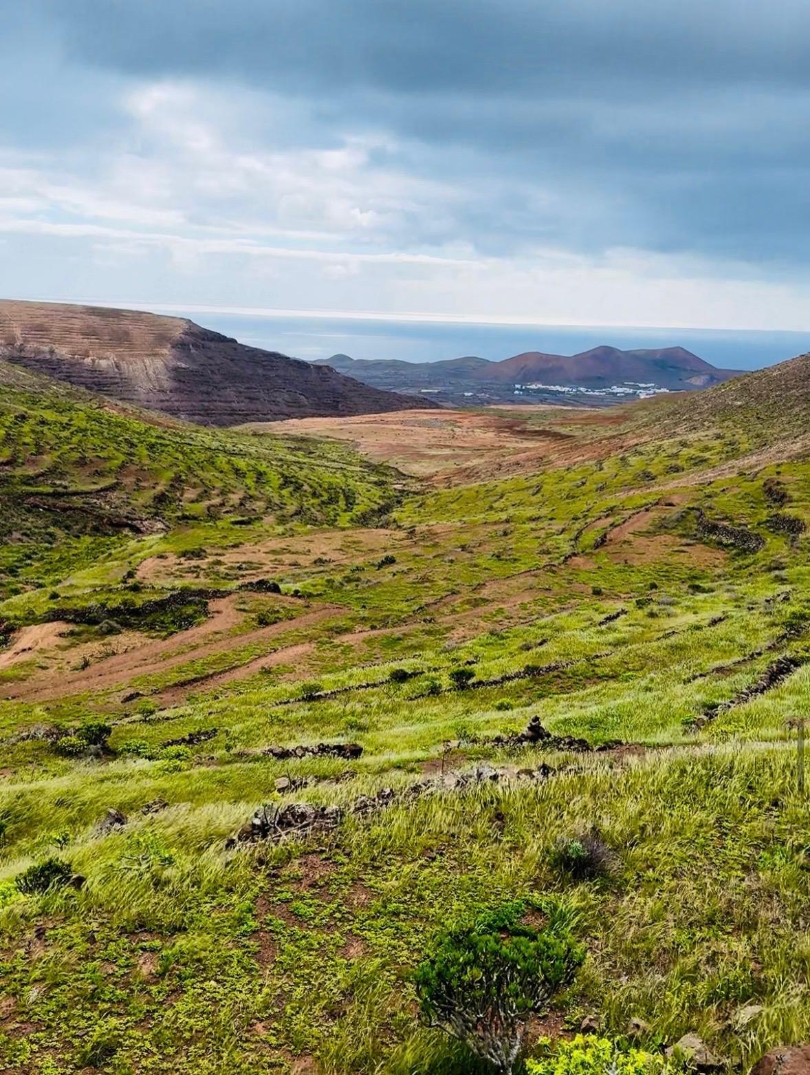 Imágenes del concurso de fotografía de La Voz. Foto: @josembj
