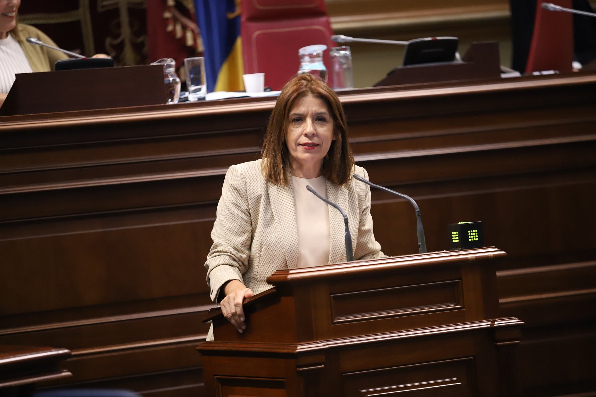 La diputada de Nueva Canarias-Bloque Canarista (NC-BC), Carmen Hernández.