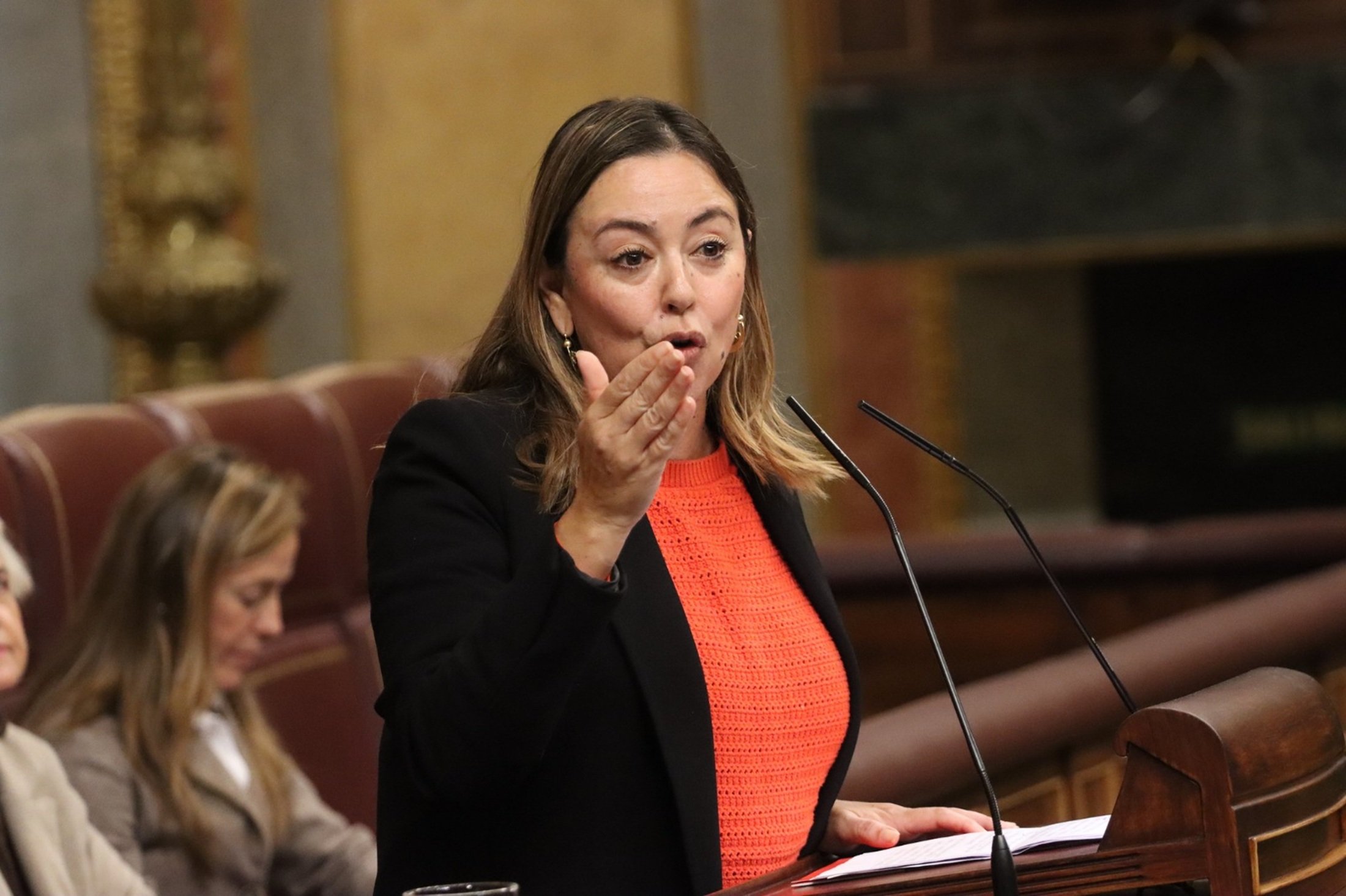 La diputada y portavoz de las y los socialistas de Canarias en las Cortes Generales, Dolores Corujo La diputada y portavoz de las y los socialistas de Canarias en las Cortes Generales, Dolores Corujo