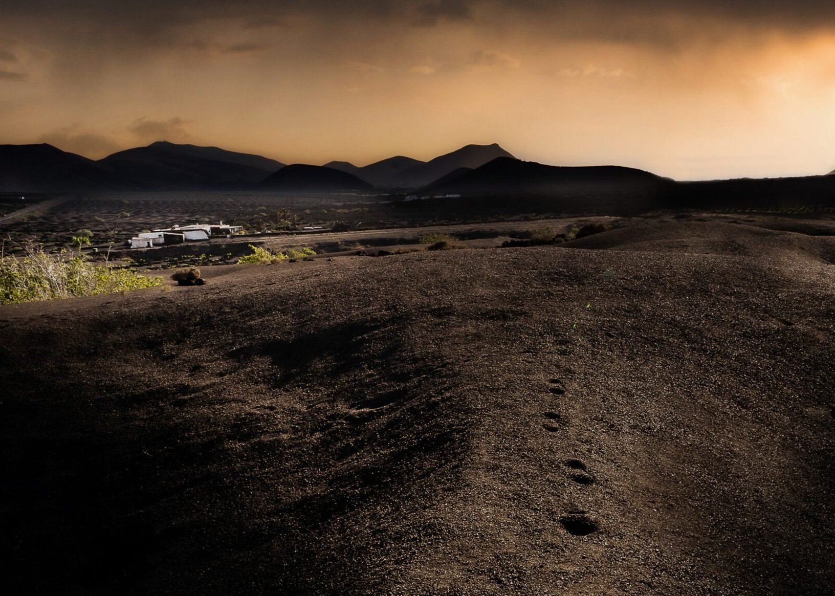 Terrenos de la bodeguera lanzaroteña premiada