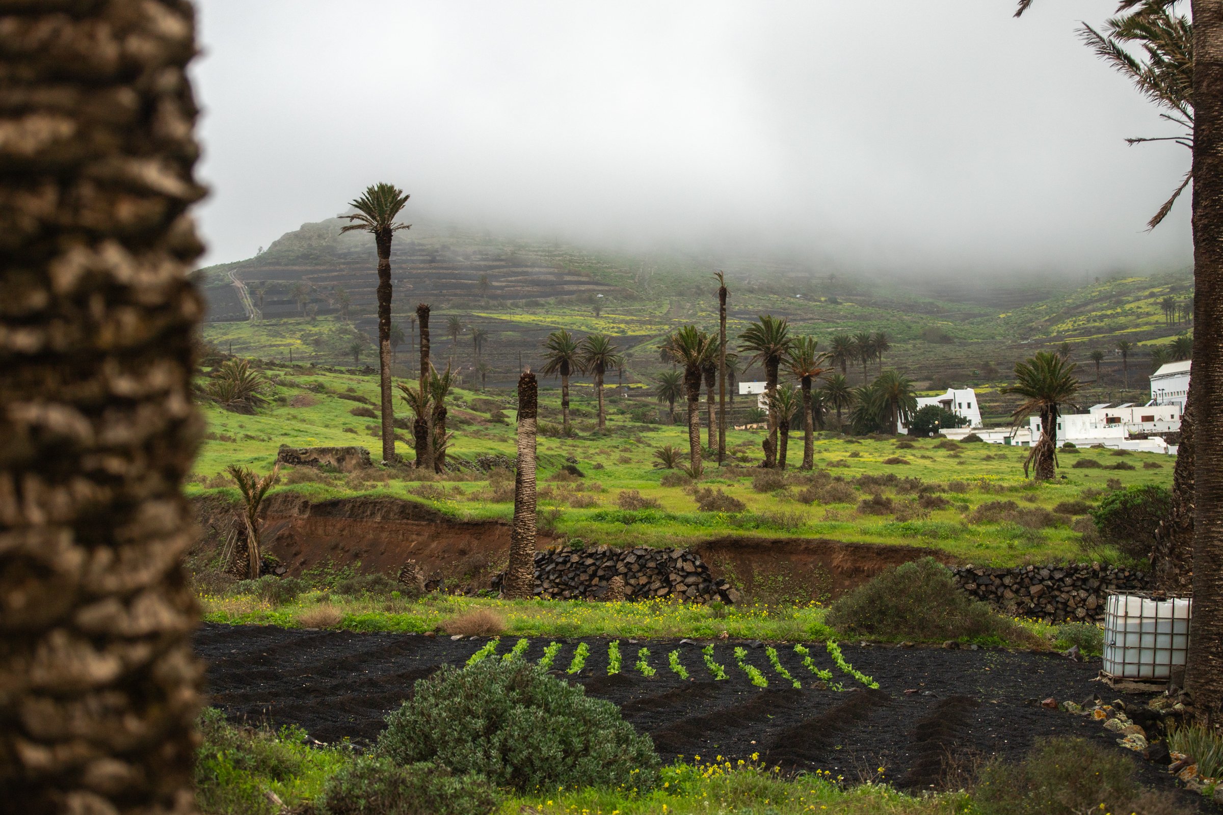 Lluvia y nubes en Haría este enero. Foto: Andrea Domínguez.