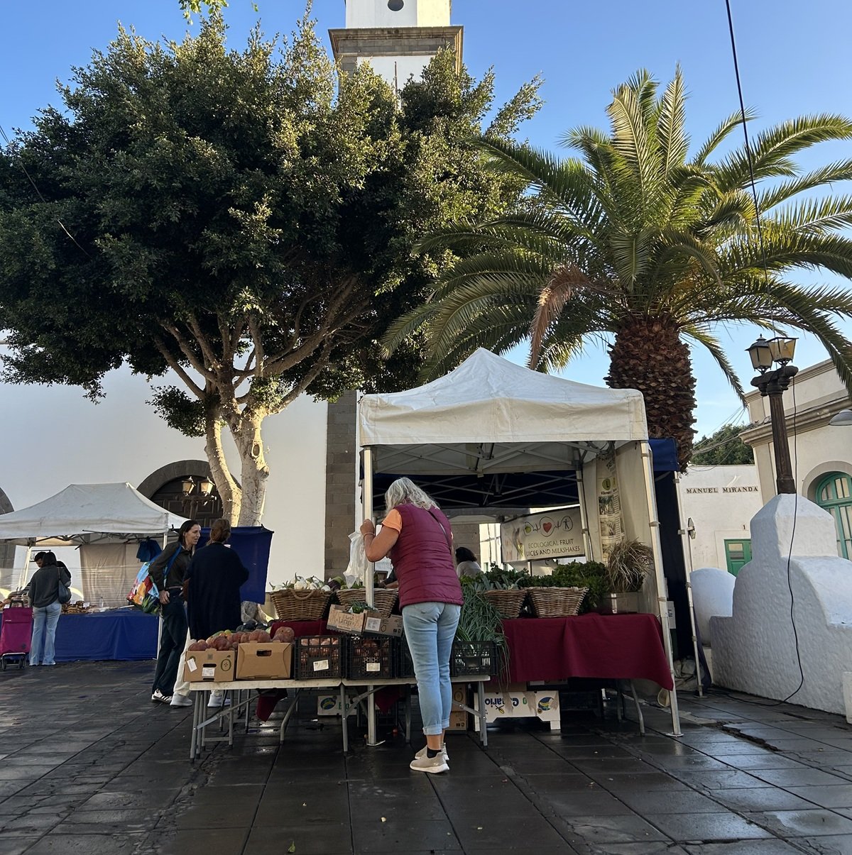 Puesto de un agricultor en la plaza de Las Palmas