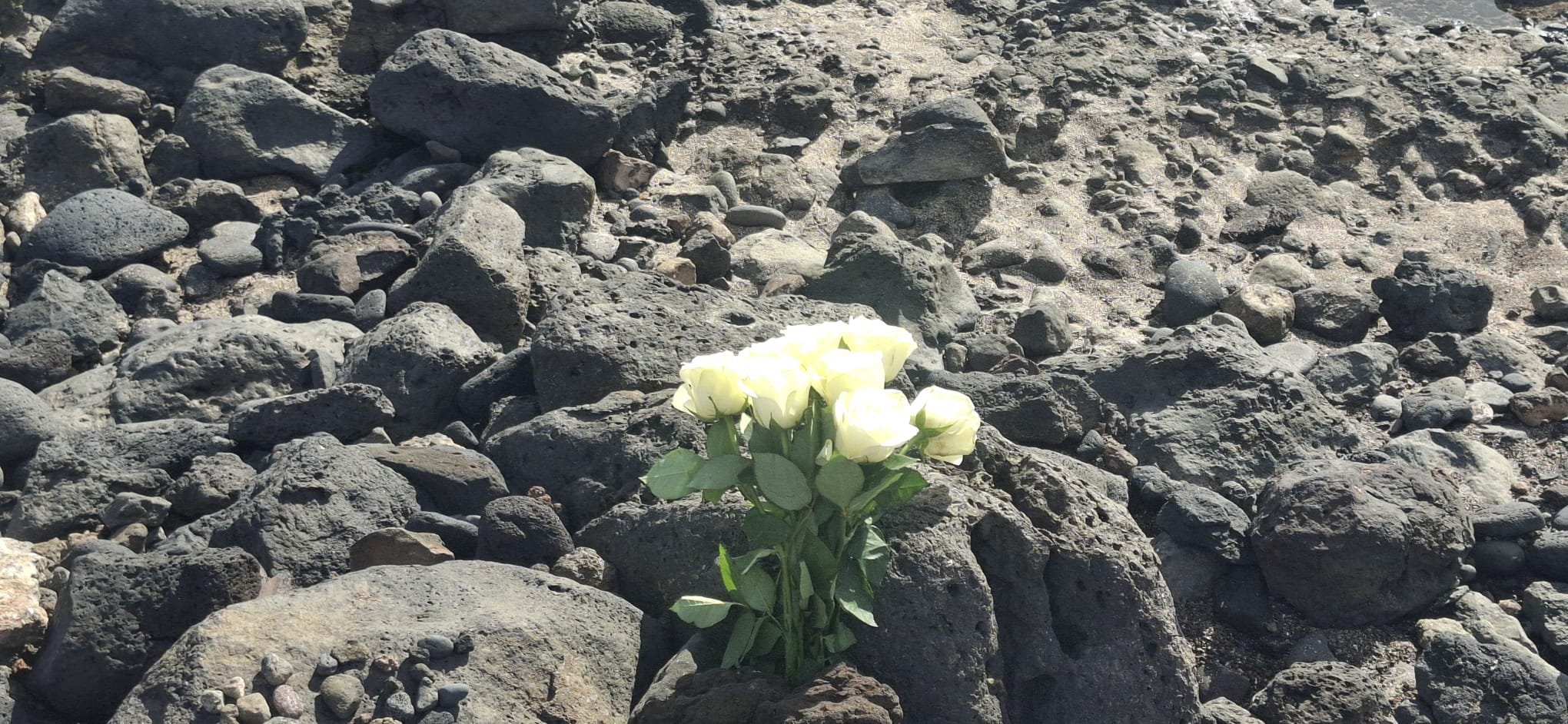 Homenaje a Noe por LanzaroteLimpia