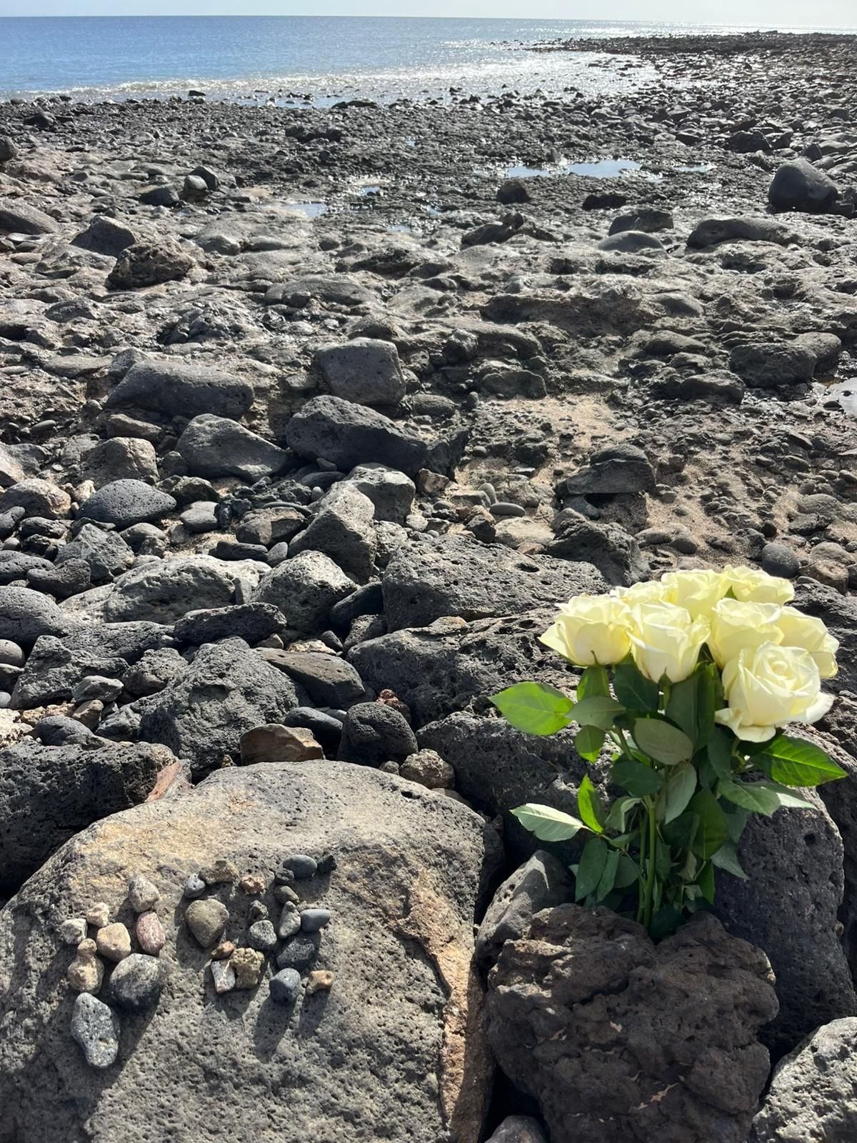 WhatsApp Image 2026 02 08 at 15.55.19