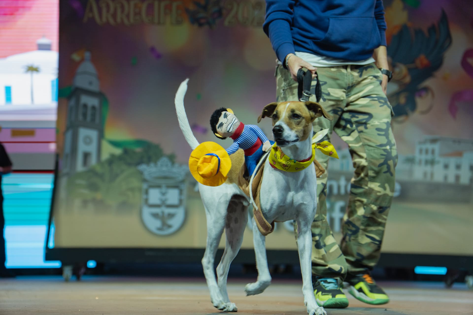 Concurso de Disfraces Caninos de Arrecife