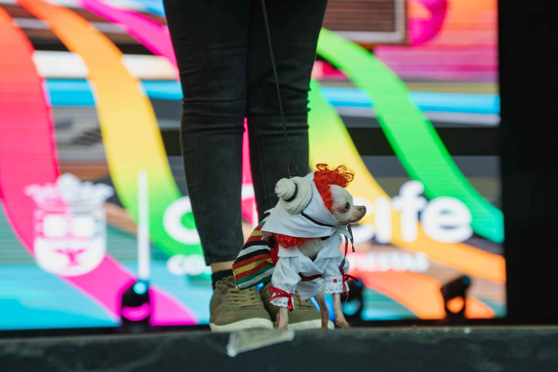 Concurso de Disfraces Caninos de Arrecife