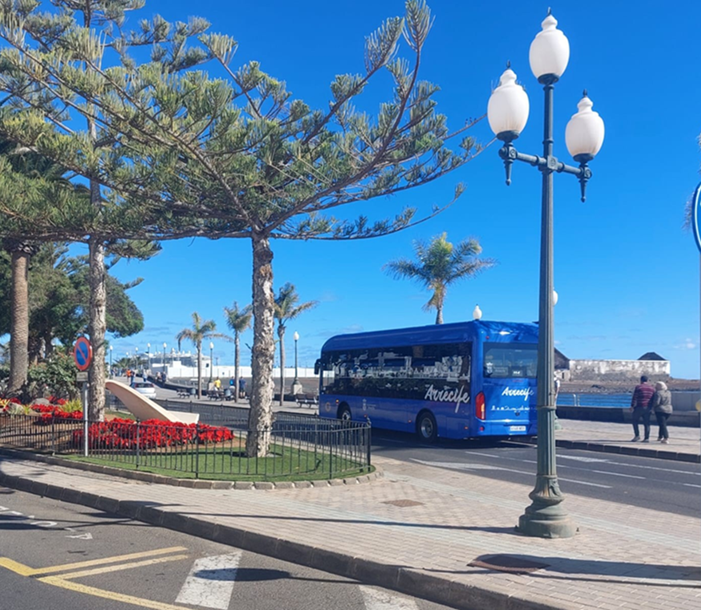 arreci y el 1 de enero