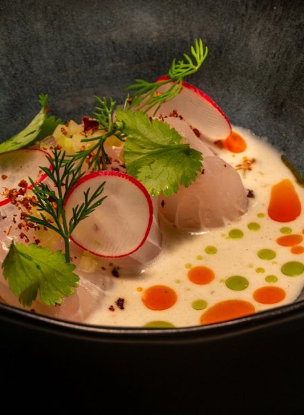 Creaciones de ALARZxKUOCO (2)