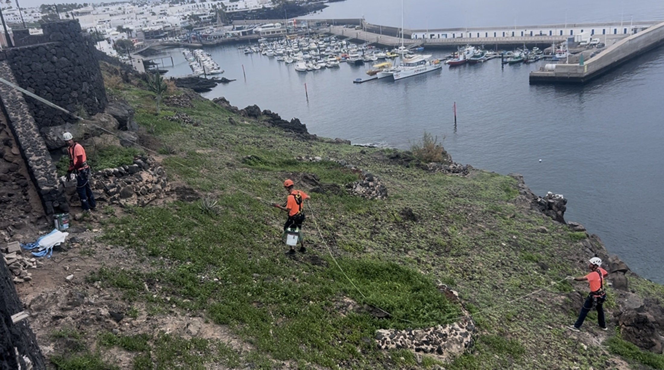 Limpieza de los riscos de La Tiñosa