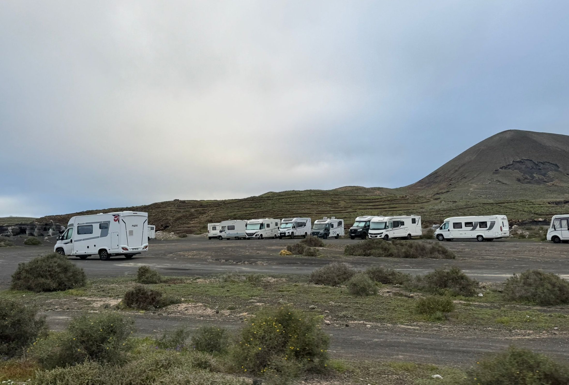 WhatsApp Image 2026 02 13 at 10.43.53 AMff WhatsApp Image 2026 02 13 at 10.43.53 AMff