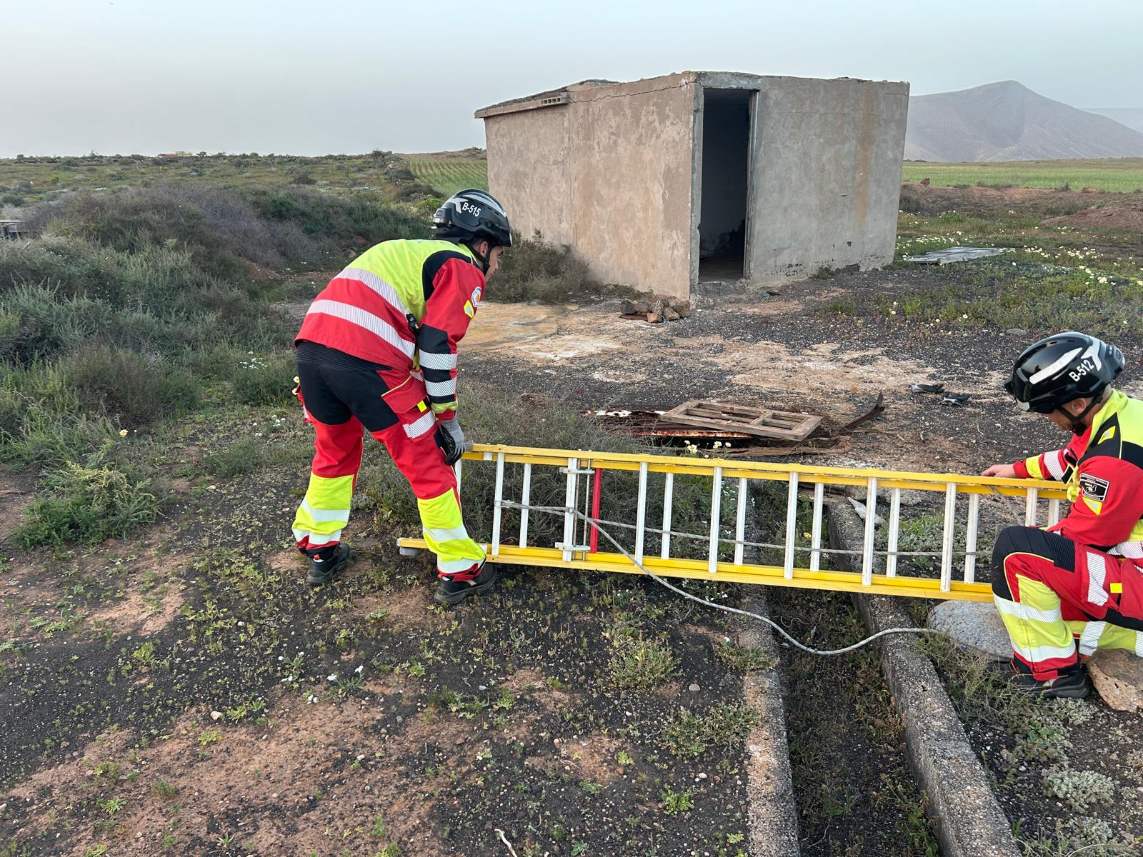 Rescatado un gato atrapado en un aljibe frente al vertedero de Zonzamas Rescatado un gato atrapado en un aljibe frente al vertedero de Zonzamas