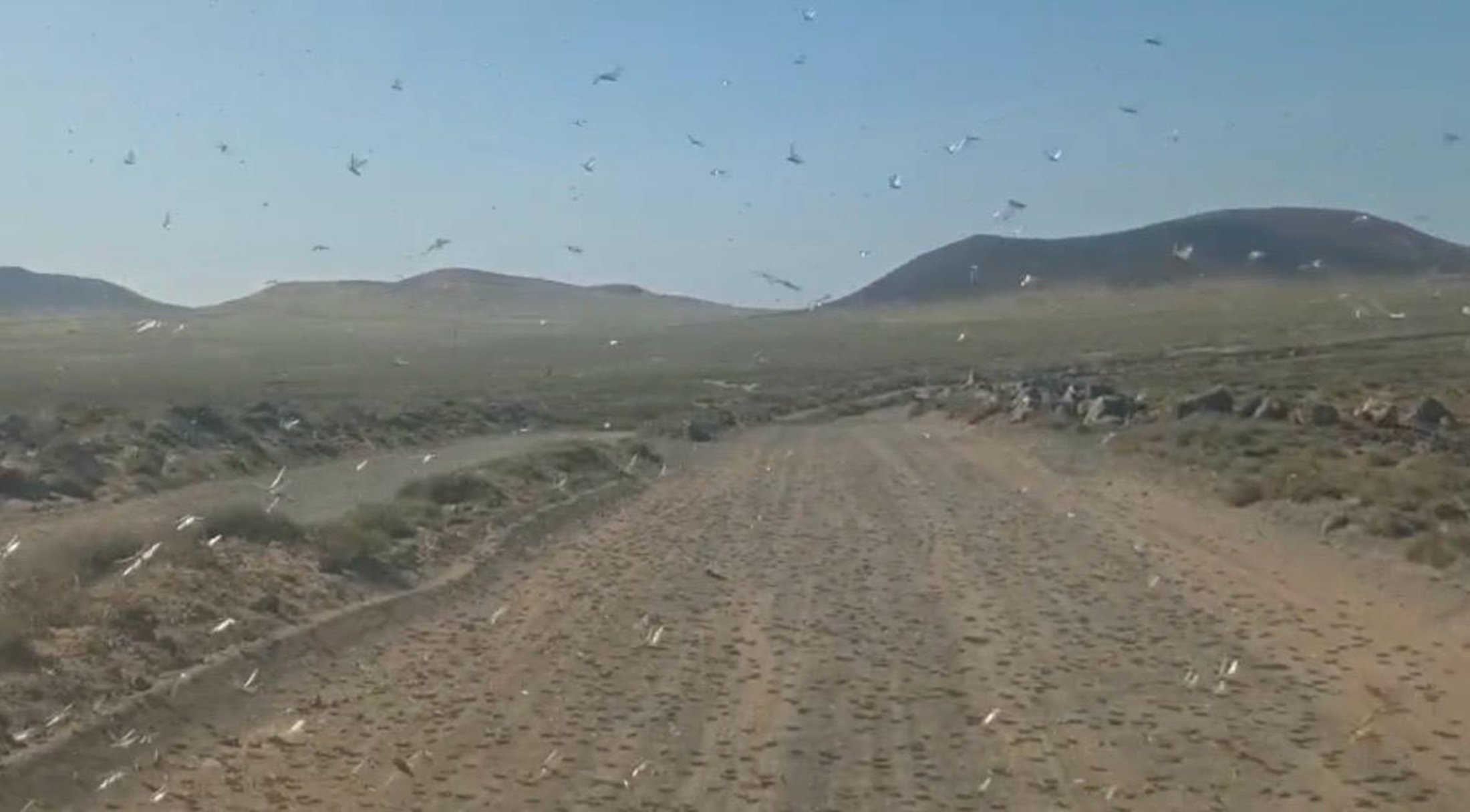 WhatsApp Image 2026 02 24 at 4.26.27 PMdd WhatsApp Image 2026 02 24 at 4.26.27 PMdd