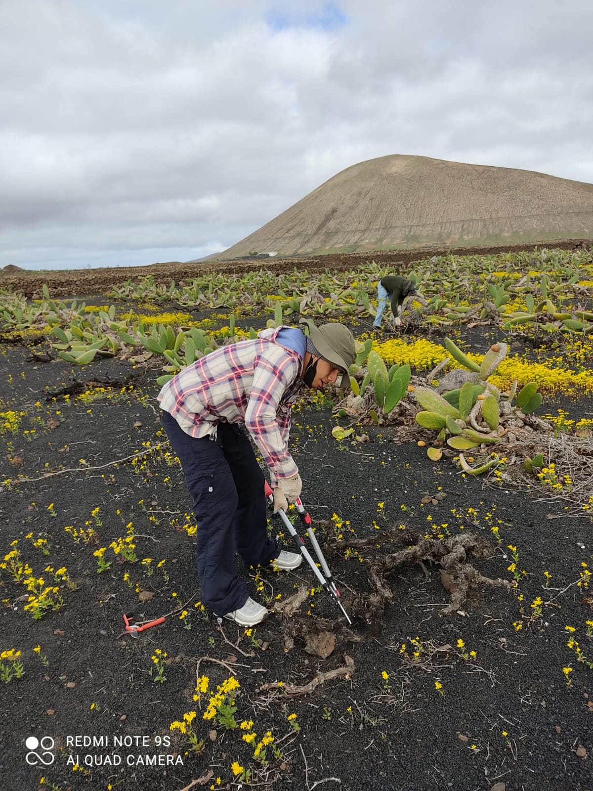 Jóvenes del proyecto trabajando la viña. Jóvenes del proyecto trabajando la viña.