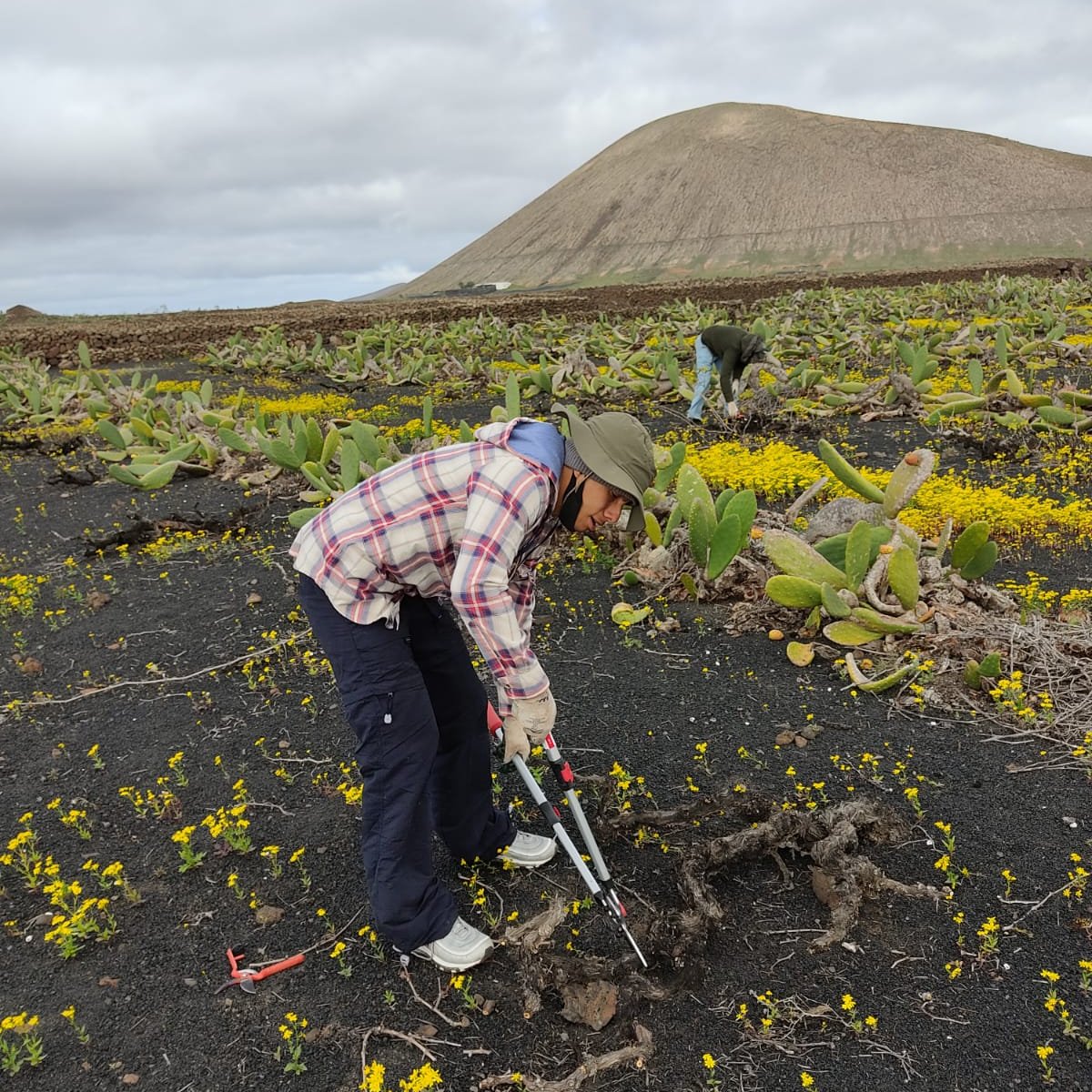 WhatsApp Image 2026 02 26 at 12.58.34 (3)