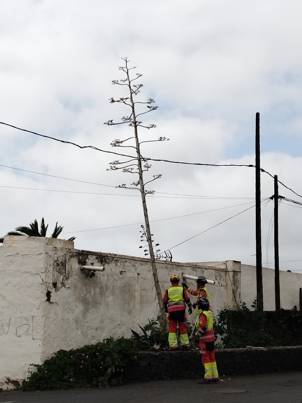 WhatsApp Image 2026 02 28 at 14.06.34 WhatsApp Image 2026 02 28 at 14.06.34