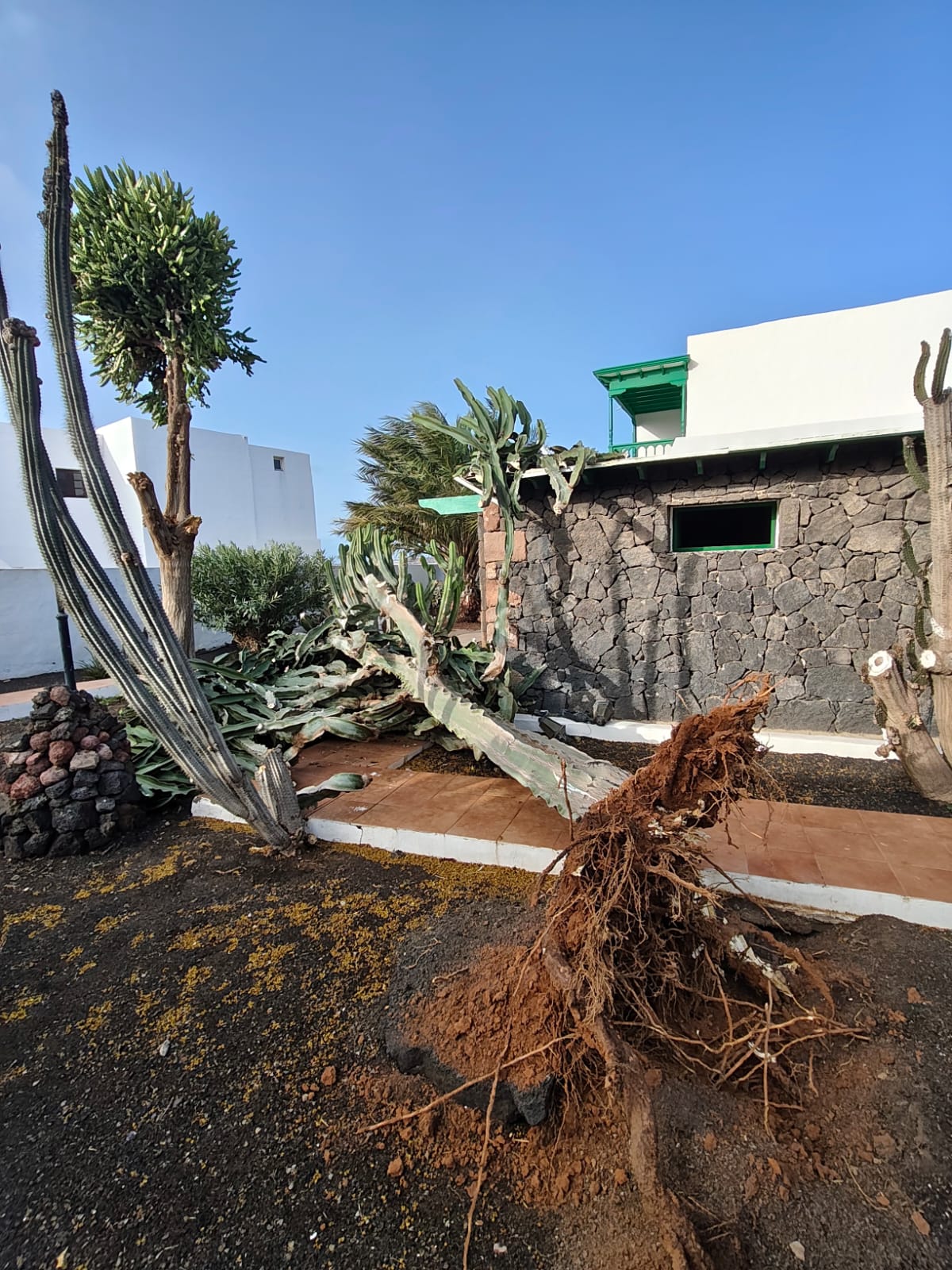 WhatsApp Image 2026 02 28 at 17.23.33 WhatsApp Image 2026 02 28 at 17.23.33