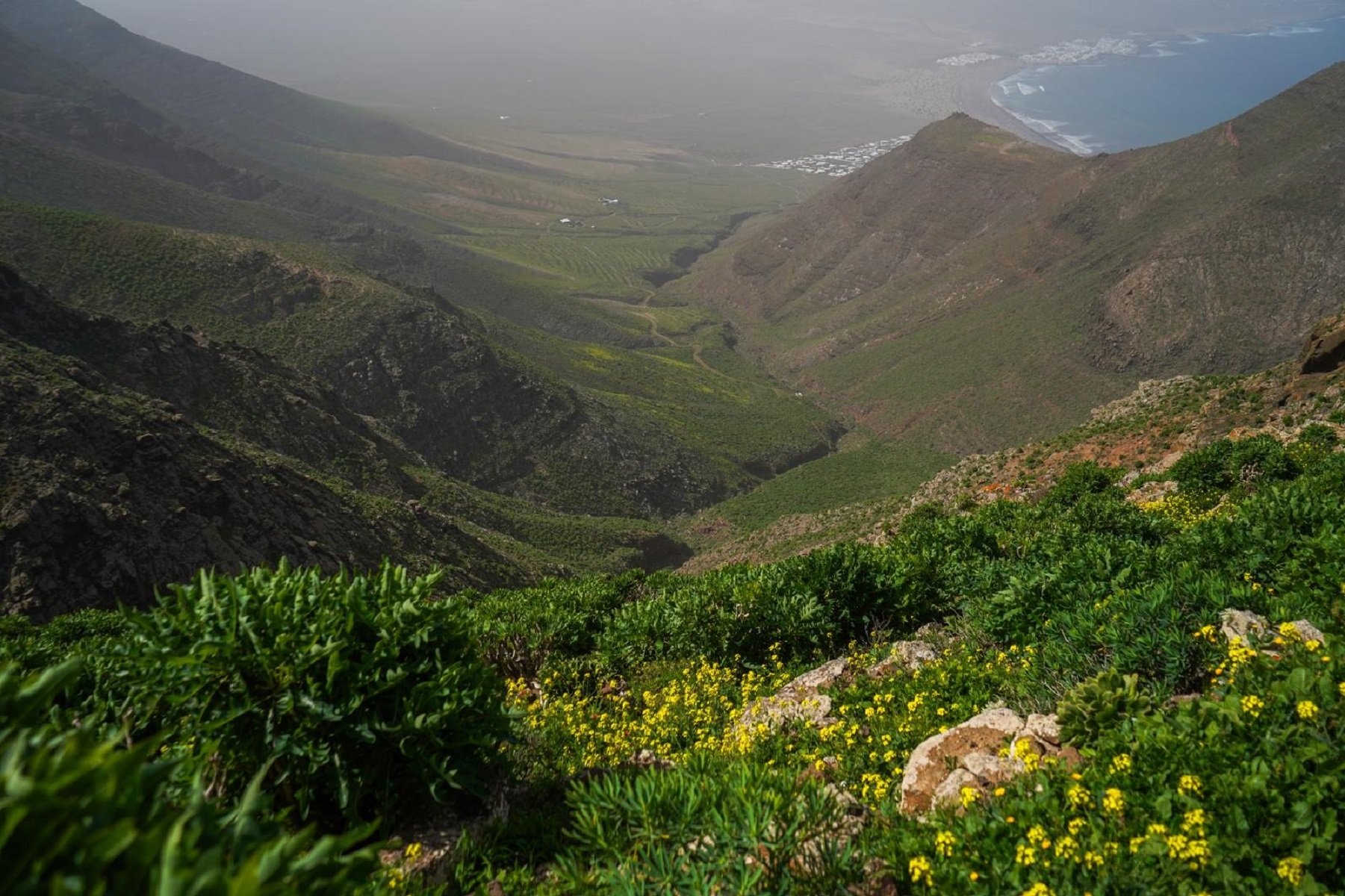 Paisaje del barranco de Chafarís en Teguise. Foto: Andrea Domínguez. Paisaje del barranco de Chafarís en Teguise. Foto: Andrea Domínguez.