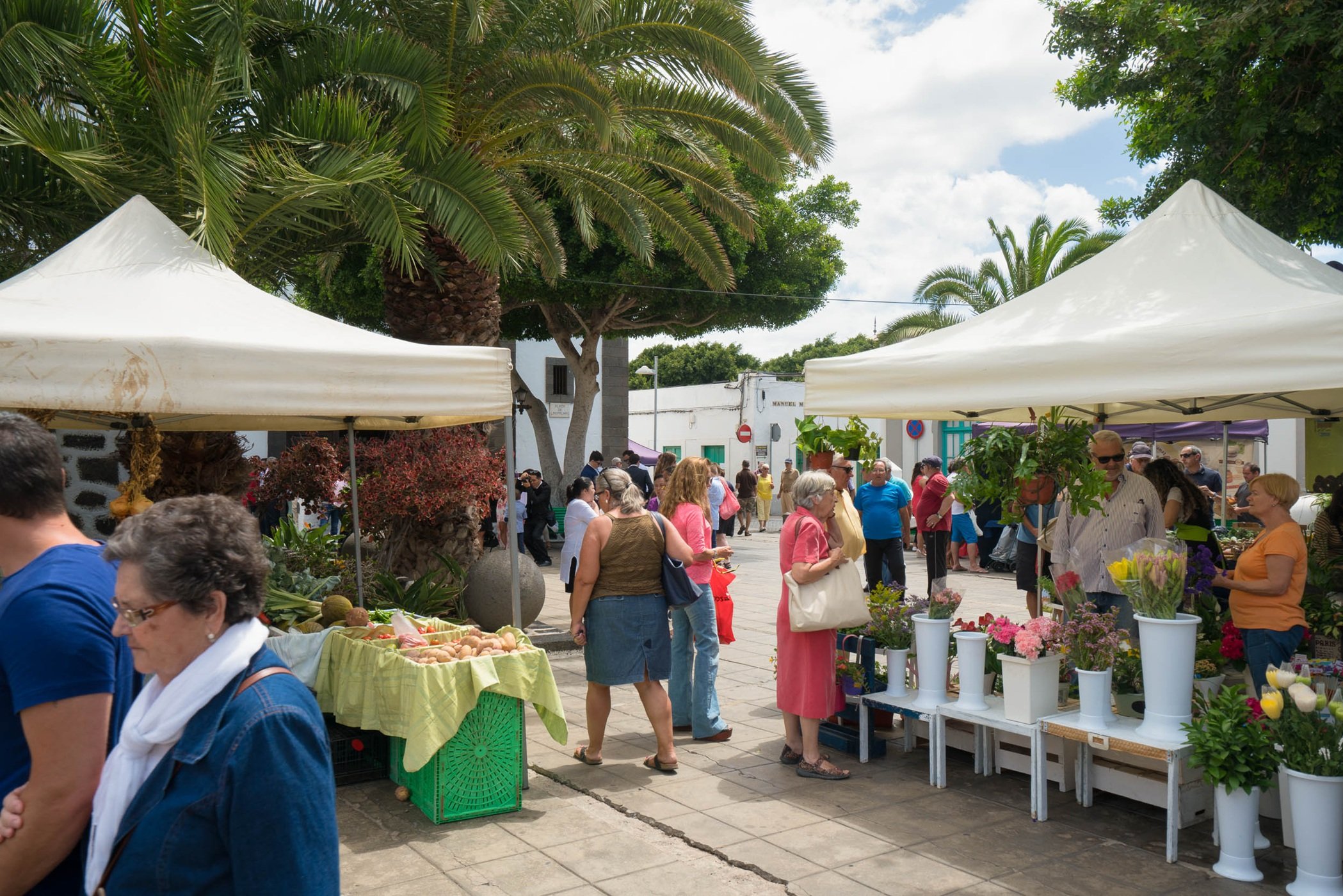 Mercado municipal de Arrecife. Comercio. Agricultura.