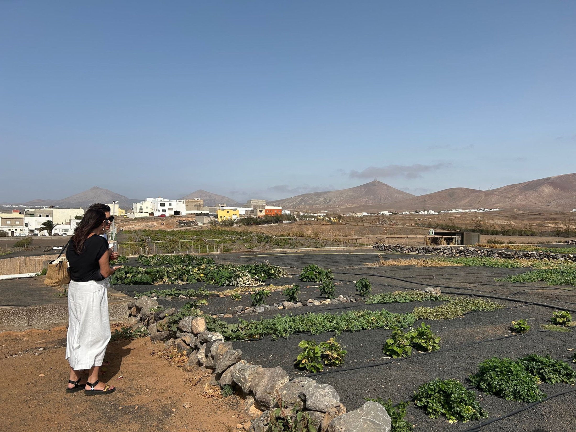 Terrenos del Centro de Biodiversidad Agrícola de Lanzarote