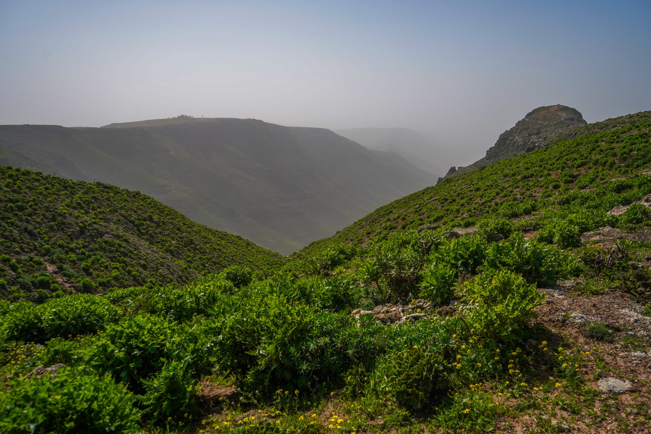 Episodio de calima en un barranco de Lanzarote. Foto: Andrea Domínguez. 